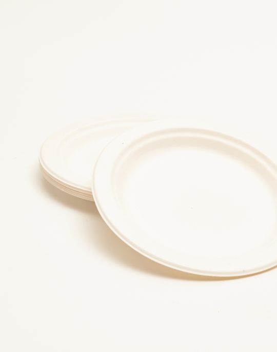ASSIETTES EN FIBRE DE CANNE, PAR 10
